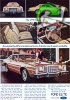 Ford 1976 113.jpg